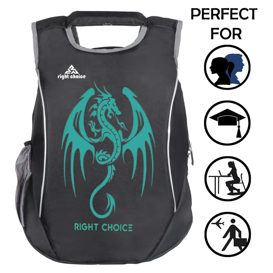 Small college bags for boys online