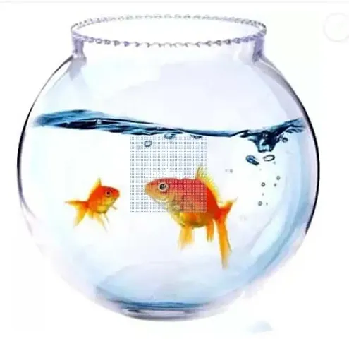 ARANS Aqua_18 presenting cute and glossy looking glass fish aquarium (pack of 1,8 inch) Round Ends Aquarium Tank  (3 L)