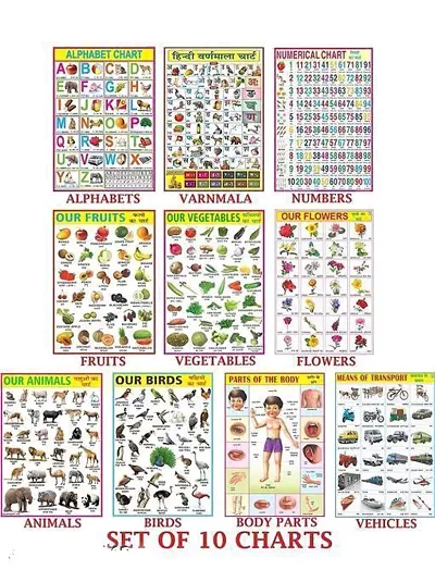 Educational Charts set for Kids | 45cmtimes;58cm (Extra Large Size to attract Kids) | Combo of 10 Charts | Alphabet, Numbers, Birds, Animals, Hindi, Fruits, Vegetables, Flowers, Transport  Parts Of Body