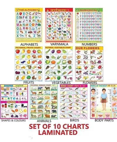 Educational Charts set for Kids | 45cmtimes;58cm (Extra Large Size to attract Kids) | Combo of 10 Chart Alphabet, Numbers, Birds, Animals, Hindi, Fruits, Vegetables, Flowers, Color Shape  Parts Of Body