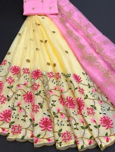 Fancy Women Net Embroidered Lehenga Choli