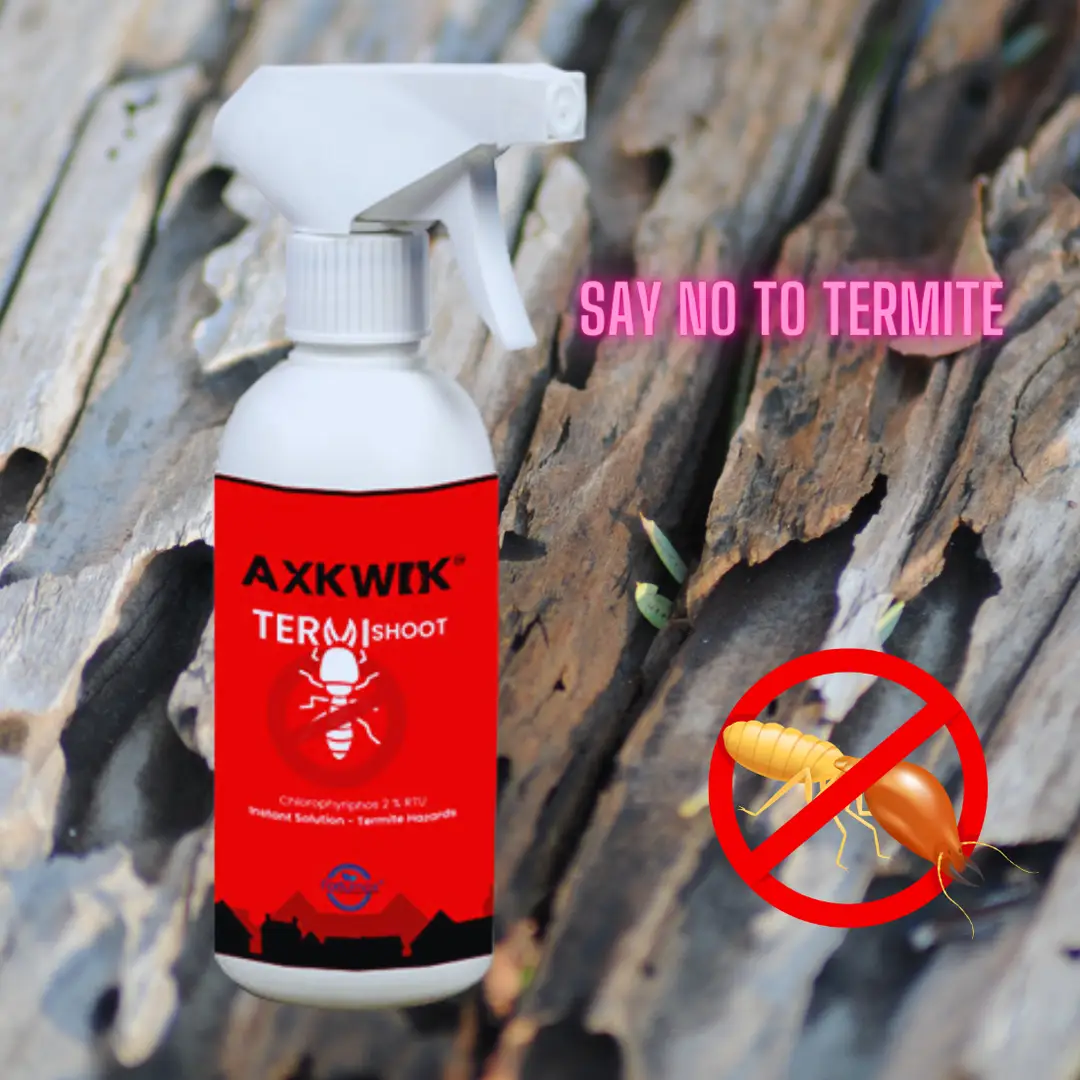 Buy Axton Termite Killer Spray |Termite Killer Wood Preservative ...