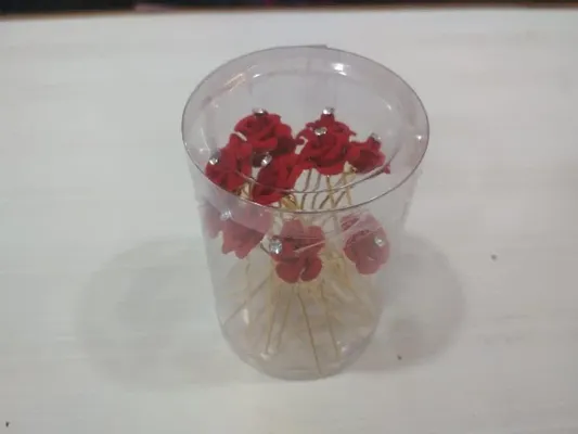 Women S Fancy U Pins For Hair Glowroad
