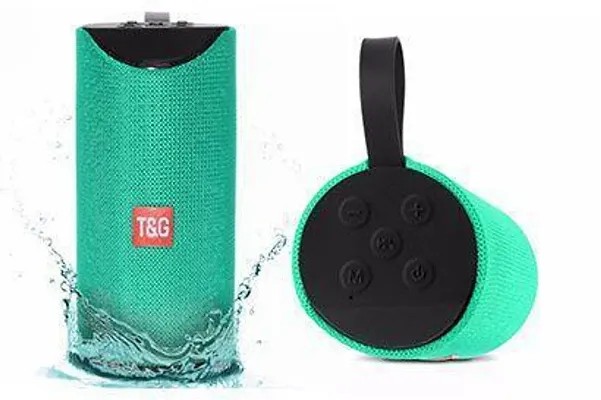 t&g 113 bluetooth speaker