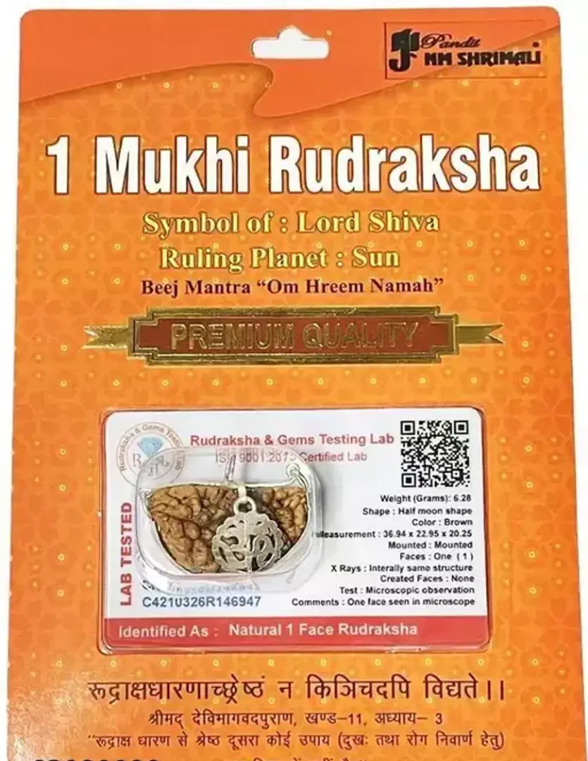 Buy Mukhi Rudraksha Original Certified Indonesian Ek Mukha One Face