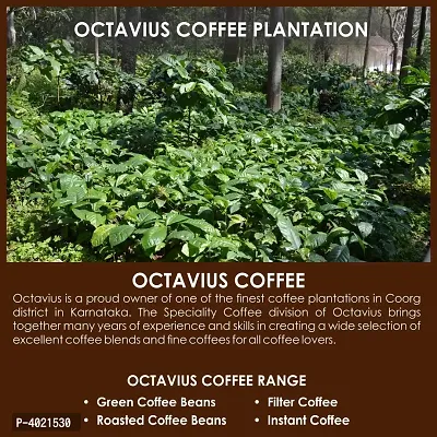 Octavius Instant Coffee Premix in Tin- 10 Sachets (Pack of 2)-thumb4