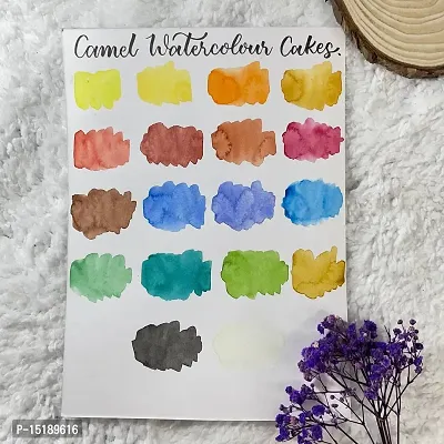 Camel Water Colour Cake - 24 Shades 30 ml – The Good Store