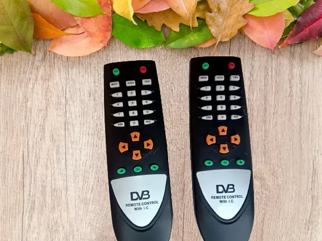 Unbreakable Remote DD Free Dish-DVB DTH Box -Black - Pack of 2.